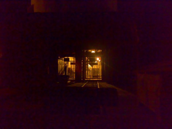 x_64252f53.jpg